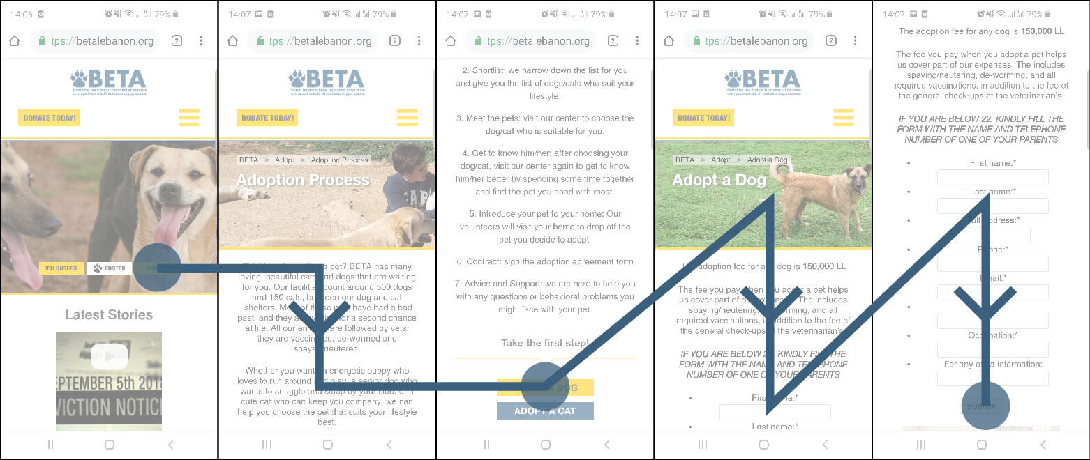 User flow analysis for the current BETA website